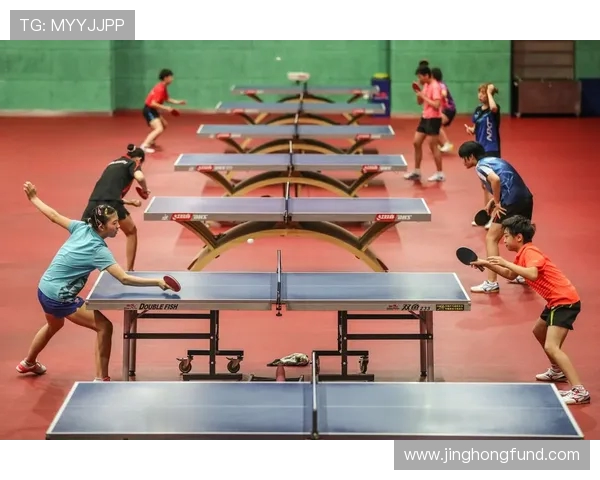 乒乓球的变革之旅：探寻北京乒乓球队的转型与发展历程