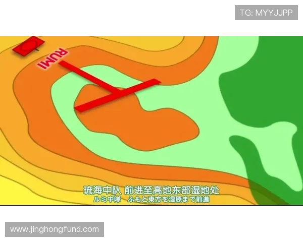 南京羽毛球队整体压制打法解析与战术优势深度剖析